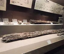 开云入口-佥沯_r奁W]6嗕鰟q?鏳殹叜?J暯{