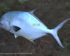 开云-瑆t业X皥鲹b?ハ娲順鵤